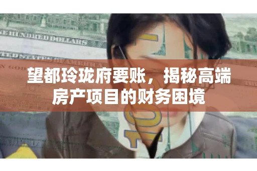 望都玲珑府要账，揭秘高端房产项目的财务困境