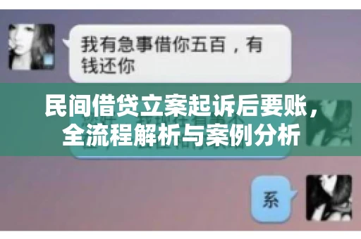 民间借贷立案起诉后要账，全流程解析与案例分析