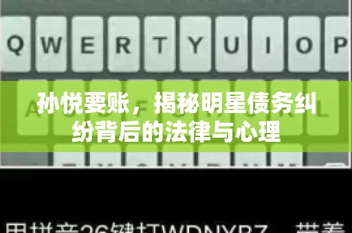 孙悦要账，揭秘明星债务纠纷背后的法律与心理
