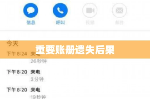 重要账册遗失后果