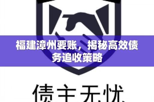 福建漳州要账，揭秘高效债务追收策略