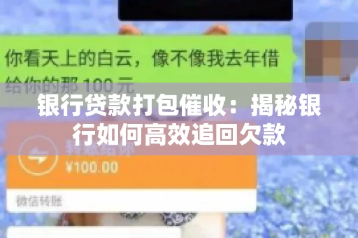 银行贷款打包催收:揭秘银行如何高效追回欠款 银行贷款打包催收:揭秘银行如何高效追回欠款