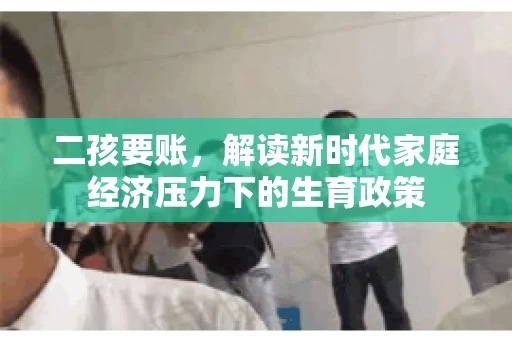 二孩要账,解读新时代家庭经济压力下的生育政策 二孩要账,解读新时代家庭经济压力下的生育政策