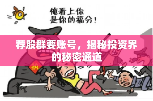荐股群要账号，揭秘投资界的秘密通道