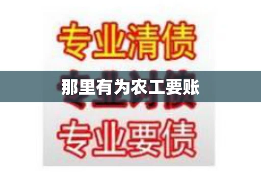 那里有为农工要账