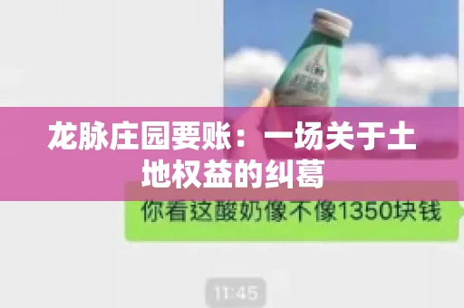 龙脉庄园要账:一场关于土地权益的纠葛 龙脉庄园要账:一场关于土地权益的纠葛