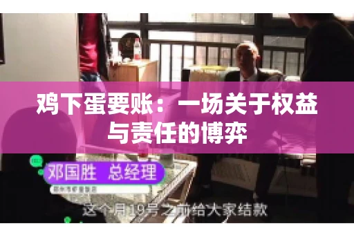 鸡下蛋要账:一场关于权益与责任的博弈 鸡下蛋要账:一场关于权益与责任的博弈