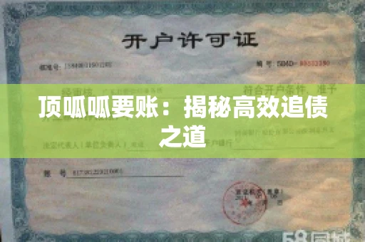 顶呱呱要账：揭秘高效追债之道