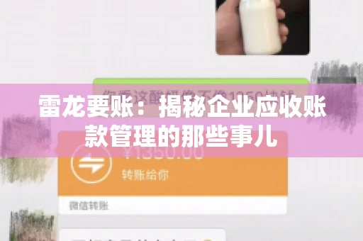 雷龙要账:揭秘企业应收账款管理的那些事儿 雷龙要账:揭秘企业应收账款管理的那些事儿