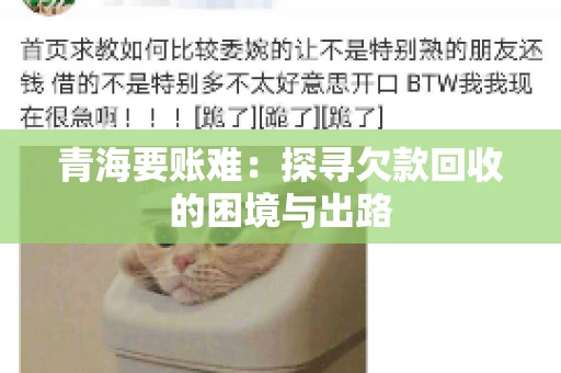 青海要账难：探寻欠款回收的困境与出路