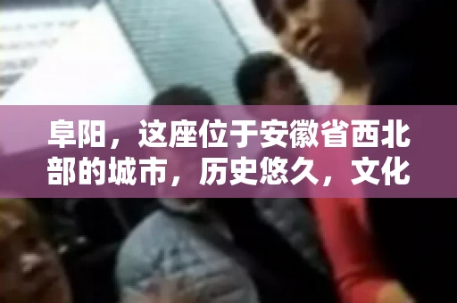 阜阳，这座位于安徽省西北部的城市，历史悠久，文化底蕴深厚。近年来，随着经济的发展，商业活动日益频繁，随之而来的是应收账款的管理问题。那么，阜阳有木有要账公司呢？今天，我们就来聊聊这个话题。
