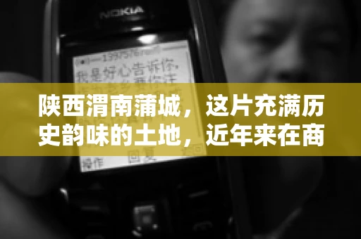 陕西渭南蒲城，这片充满历史韵味的土地，近年来在商业活动中也展现出了其独特的活力。其中，关于“陕西渭南蒲城要账”的话题，成为了不少企业关注的焦点。今天，我们就来聊聊这个话题，看看在蒲城，要账的那些事儿。
