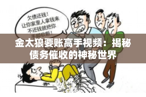 金太狼要账高手视频：揭秘债务催收的神秘世界