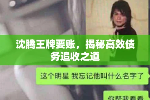 沈腾王牌要账，揭秘高效债务追收之道