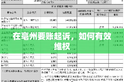 在亳州要账起诉，如何有效维权