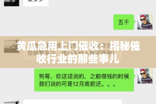 黄瓜急用上门催收：揭秘催收行业的那些事儿